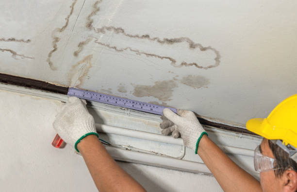 Reliable Burst Pipe Cleanup contractor in Whitehouse, TX by Water Damage Irwin